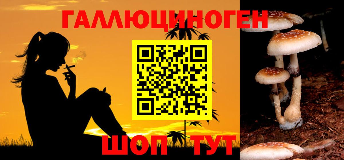 Галлюциногенные грибы мухоморы  Галлюциногенные грибы ЛСД  Вход с VPN  Ачхой-Мартан 